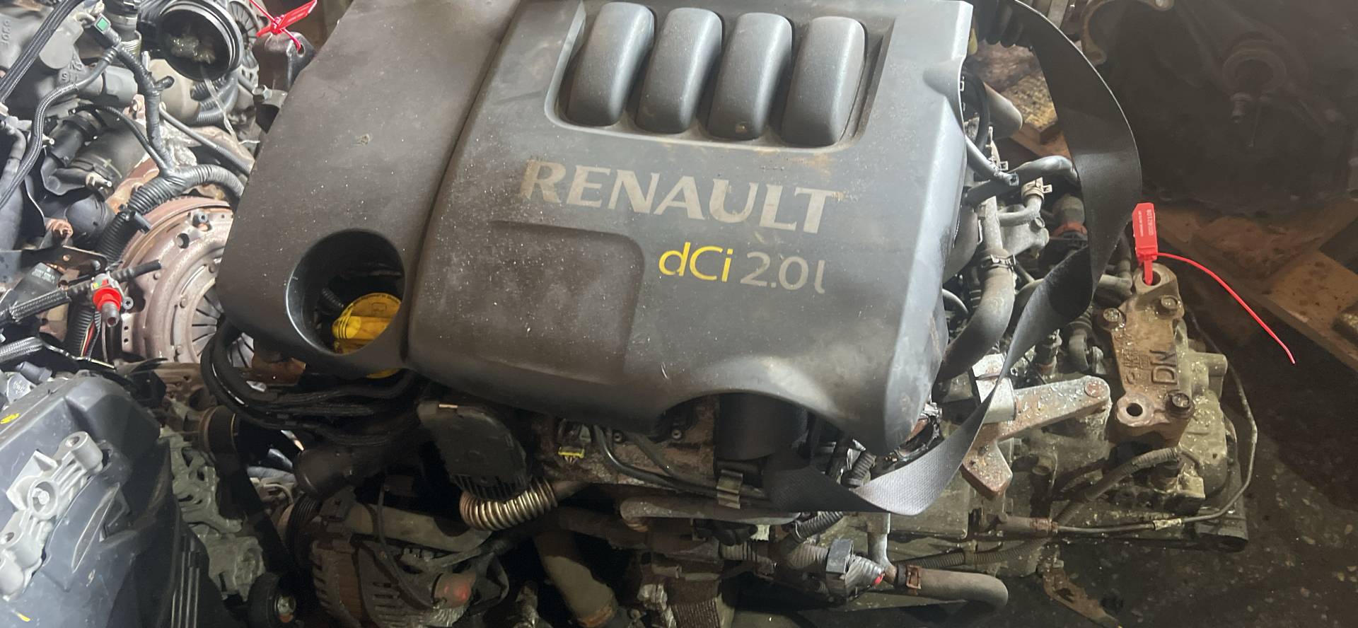 Двигатель M9RG832 Renault Koleos 2.0 Дизель