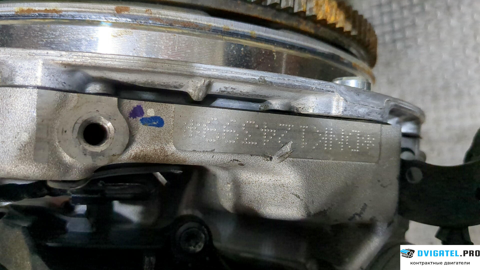 Двигатель Volkswagen Taos DNKA 1.5 л., Бензин, TSI, артикул 8415226