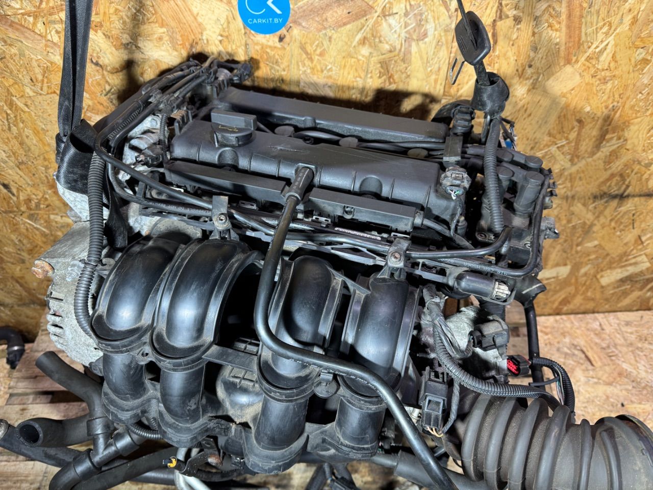 Двигатель PNBA Ford Mondeo 4 1.6 Бензин