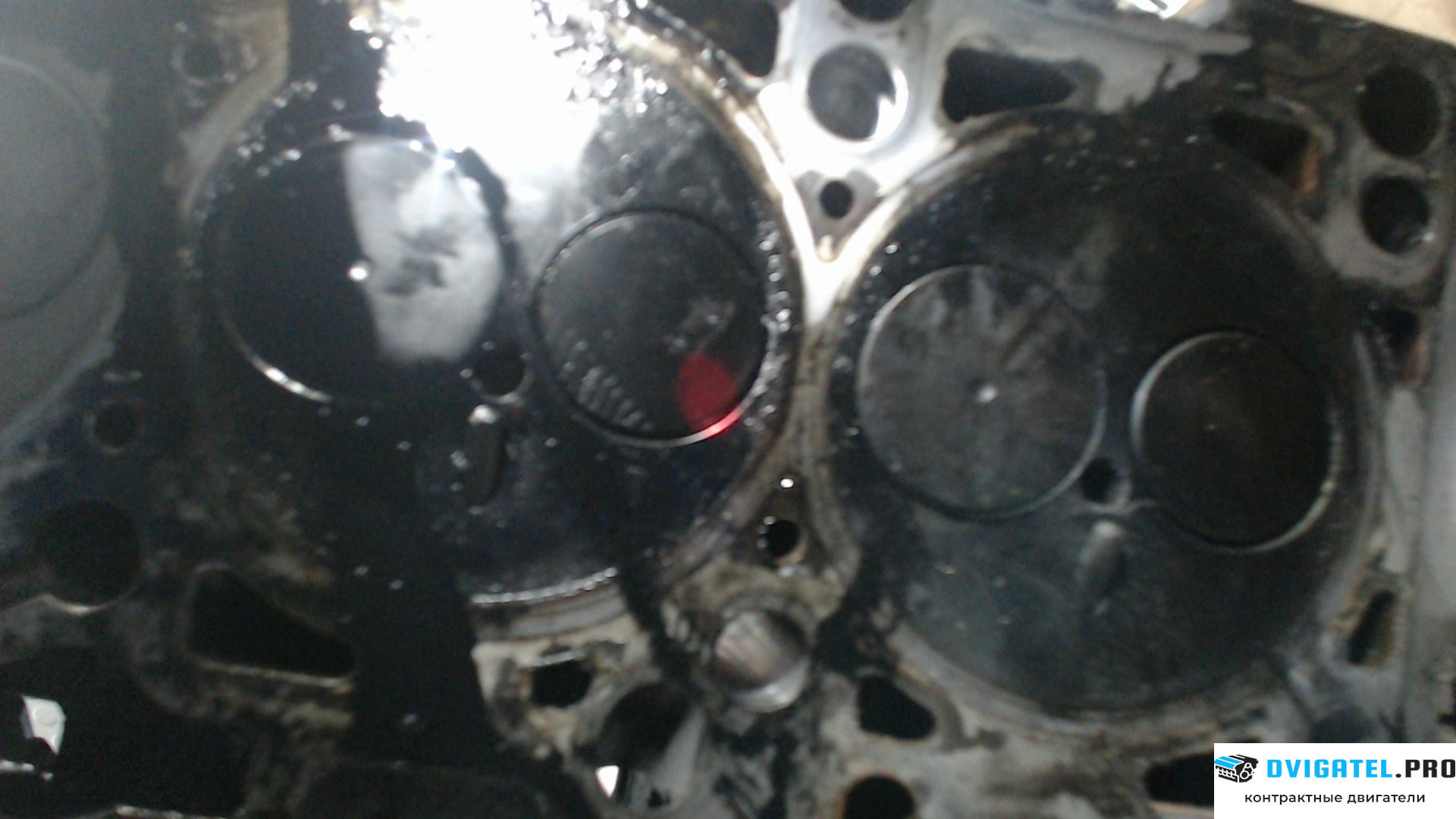 Головка блока цилиндров (ГБЦ) Seat Ibiza 3 2006 - 2008 BNV 1.4 л., Дизель, TDI, артикул 7754367