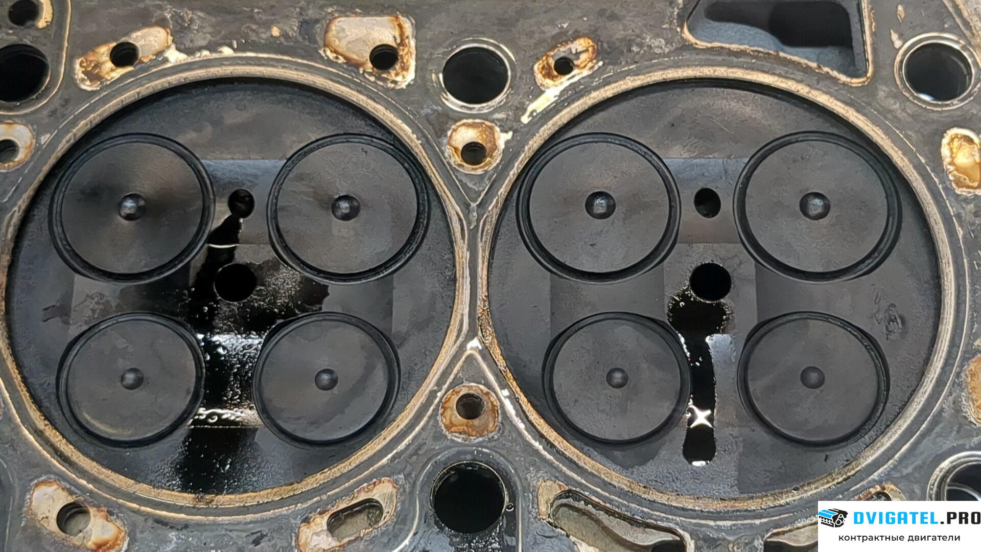 Головка блока цилиндров (ГБЦ) Opel Insignia 2008 - 2013 A20DTH 2 л., Дизель, CDTI, артикул 9271060