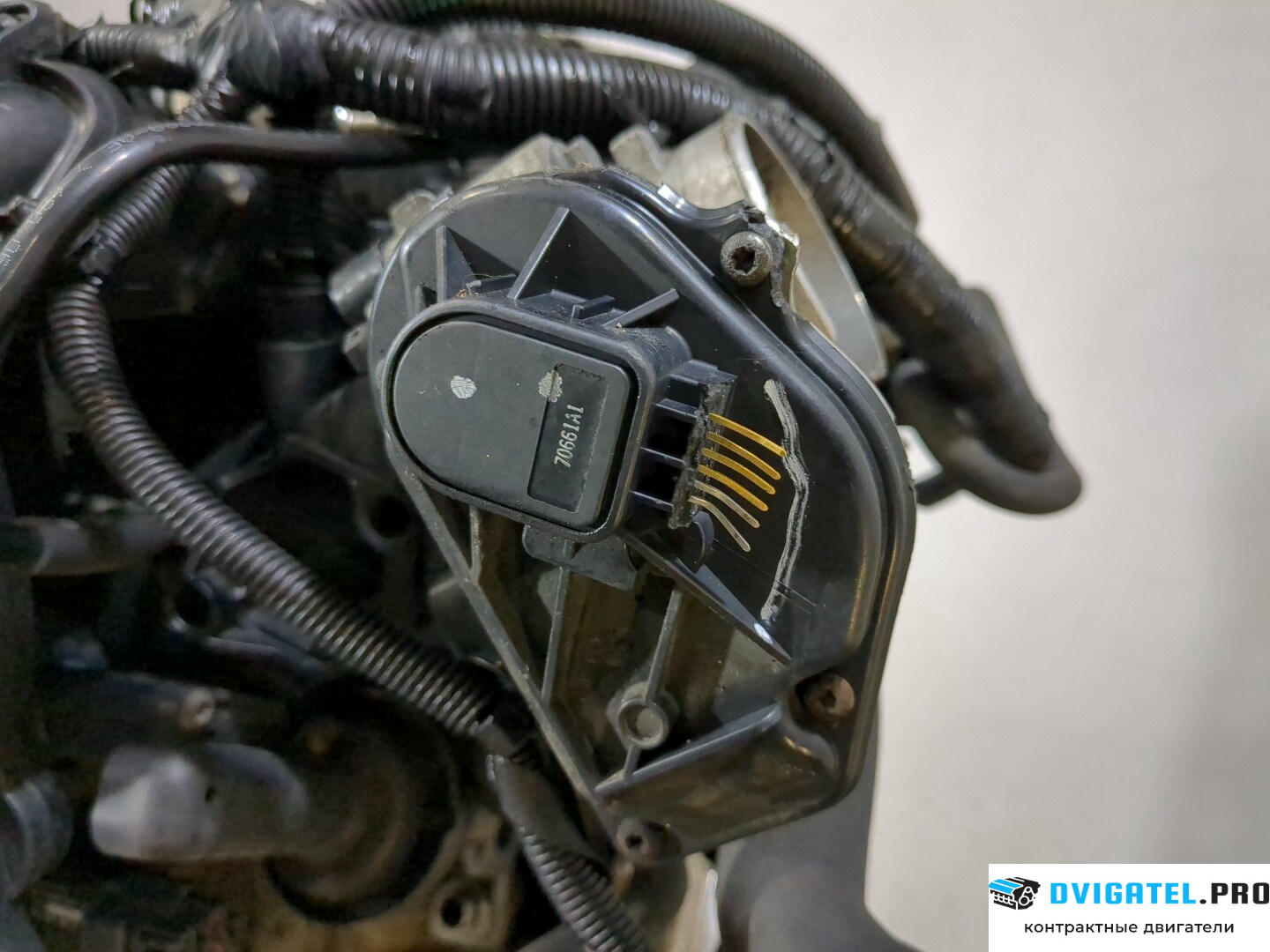 Двигатель Ford Focus 2 2005 - 2008 QQDB 1.8 л., Бензин, SFI Инжектор, артикул 8759266