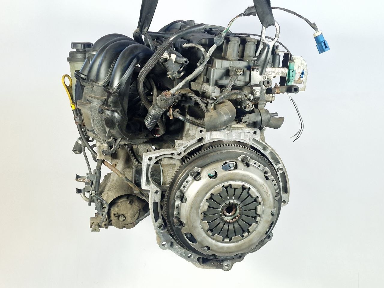 Двигатель SHDA Ford Focus 2 restailing 1.6 Бензин